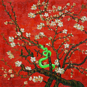 中国女人下面毛多多
