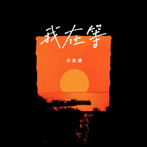 中国女人下面毛多多
